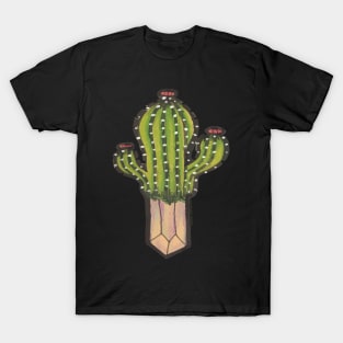 Cactus with crystal roots 2 T-Shirt